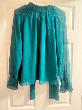 Ann Taylor teal tie neck (back) pleated cuff shear blouse